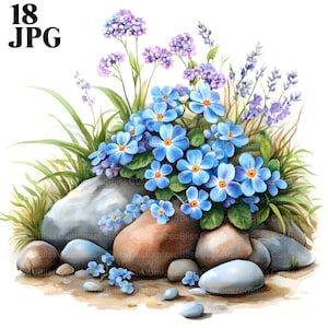 Forget Me Not Clipart, Flower Clipart, Blue Flowers, 18 High Quality JPGs, Watercolor Clipart, Junk Journal, Digital Download, Paper Craft