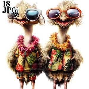 18 imágenes divertidas de avestruz, imágenes de playa, imágenes de cómics de pareja de pájaros, archivos JPG de alta calidad, imágenes de acuarela, diario basura, descarga digital