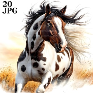 20 Clipart cheval peinture, amateurs de chevaux, clipart équin, dessins de chevaux, clipart Animal, clipart aquarelle, téléchargement numérique, Junk Journal, JPG
