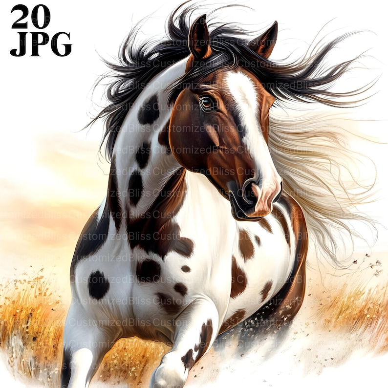 May include: A white and brown spotted horse with a long flowing mane and tail. The horse is running through a field of tall grass.