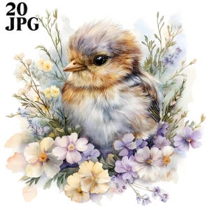 20 Cute Bird Clipart, Robin Bird Clipart, Robin Clipart, Cute Bird Nursery, High Quality JPGs, Junk Journal, Digital Download, Paper Craft
