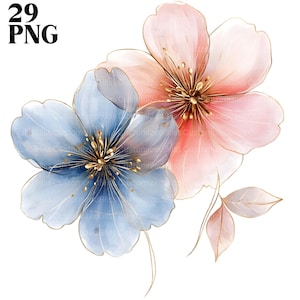 Várias flores clipart, 29 PNG, pacote de flores silvestres, clipart de flores silvestres, clipart de flores boho, clipart de flores silvestres, flor do prado png