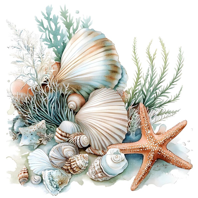 Op de afbeelding: Een aquarel schilderij van schelpen en een zeester op een witte achtergrond. De schelpen zijn in verschillende tinten wit, bruin en beige. De zeester is oranje en heeft vijf punten. Het schilderij is omringd door groen zeewier.