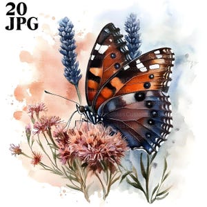 20 Flores Borboleta Clipart, Borboletas Clipart, Viveiro de Borboletas, JPGs de Alta Qualidade, Clipart de Aquarela, Diário de Lixo, Download Digital
