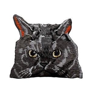 Peut inclure: Gros plan sur le visage d'un chat gris avec des oreilles orange. Le chat a les yeux jaunes et une expression sérieuse.