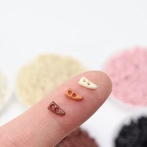 May include: Four plastic toggle clasps in different colours: brown, tan, light brown, and white. The clasps are small and have two holes.