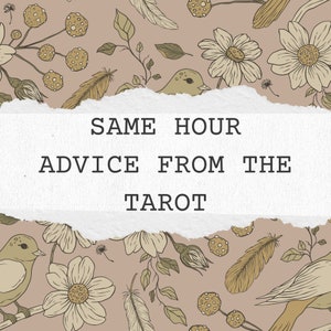 Same Hour Ratschläge aus dem Tarot | In Tiefe | Beziehung | Romanze | Einzelstücke | Hinweise | Werdegang | Leben |