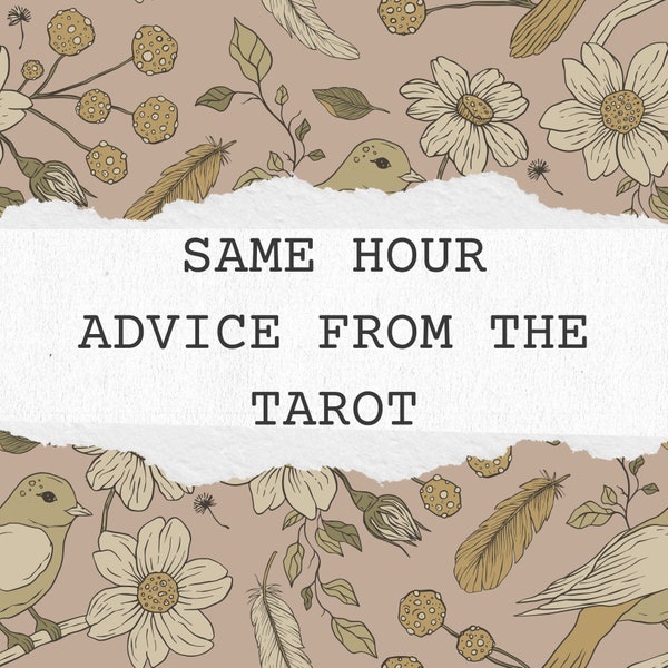 Same Hour Advice From The Tarot | In Depth | Relationship | Romance | Singles | Advice | Career | Life |
