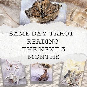 Die nächsten drei Monate Tarot-Lesung | Lesung am selben Tag | Drei Kartenlegung