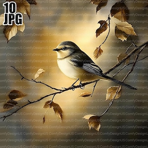 10 Autumn Bird Clipart, Autumn Clipart, Watercolor Bird, High Quality JPGs, Watercolor Clipart, Junk Journal, Digital Download, Paper Craft