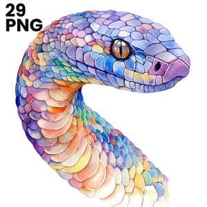 Cobra clipart, king cobra clipart, cobra png, slang png, slang clipart, reptiel ontwerpen, reptiel png, hoge kwaliteit png's, commercieel gebruik