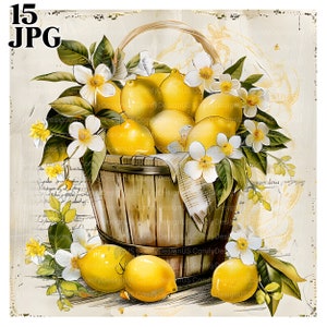 Zestaw clipartów Shabby Chic Floral Bucket of Lemons, Clipart cytrynowy, Clipart akwarelowy do druku, Wysokiej jakości pliki JPG, Cyfrowy dziennik do pobrania