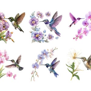 Peut inclure: Illustrations &agrave; l'aquarelle de colibris et de fleurs. L'image pr&eacute;sente six compositions distinctes de colibris aux ailes d&eacute;ploy&eacute;es, planant pr&egrave;s de diverses fleurs, notamment des orchid&eacute;es et d'autres fleurs. La palette de couleurs comprend des nuances de vert, de violet, de rose et de blanc.