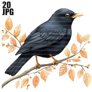 20 Blackbird-clipart, Black Bird-clipart, hoge kwaliteit JPG's, aquarel clipart, Junk Journal, Digitale download, Paper Craft, Afdrukbaar
