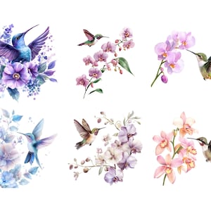 Peut inclure: Illustrations &agrave; l'aquarelle d'oiseaux-mouches et de fleurs dans diverses compositions. Les oiseaux sont repr&eacute;sent&eacute;s avec des plumes bleues, vertes et marron vibrantes, tandis que les fleurs pr&eacute;sentent des nuances de violet, de rose et de bleu. L'&oelig;uvre a une esth&eacute;tique douce et d&eacute;licate.