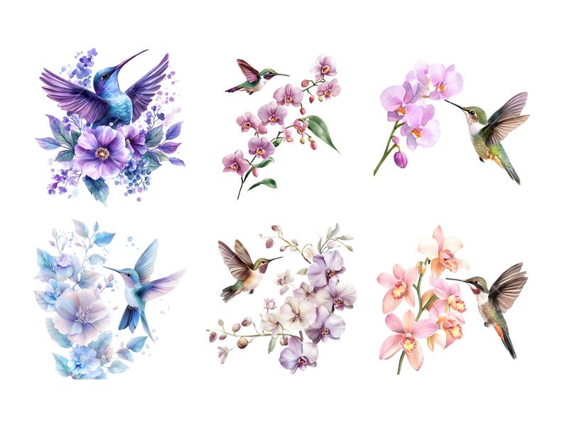 Peut inclure: Illustrations &agrave; l'aquarelle d'oiseaux-mouches et de fleurs dans diverses compositions. Les oiseaux sont repr&eacute;sent&eacute;s avec des plumes bleues, vertes et marron vibrantes, tandis que les fleurs pr&eacute;sentent des nuances de violet, de rose et de bleu. L'&oelig;uvre a une esth&eacute;tique douce et d&eacute;licate.