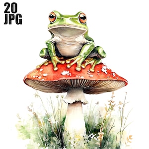 20 Clipart grenouille et champignon, clipart crapaud, grenouille des cliparts, clipart aquarelle, fichiers JPG de haute qualité, téléchargement numérique, créations en papier, journal indésirable