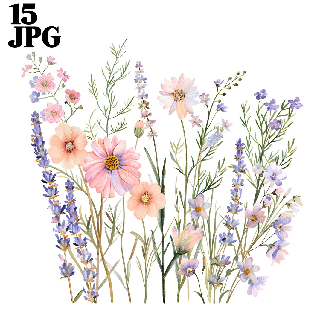 15 Wildflower Decor Clipart, Wild Flowers, Printable Watercolor Clipart ...