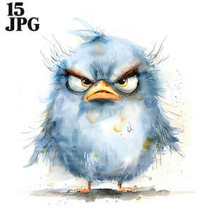 15 imágenes prediseñadas de pájaros gruñones, pájaros de guardería, pájaros esponjosos y adorables, pájaros de dibujos animados, imágenes prediseñadas de acuarela imprimibles, archivos JPG de alta calidad, descarga digital
