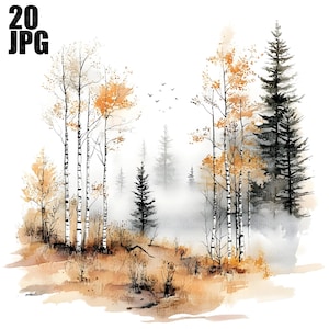 May include: Watercolor painting of a forest scene with birch and evergreen trees. The trees have orange and yellow leaves, with a misty background. The text "20 JPG" is in the upper left corner.