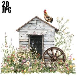20 Clipart poulailler, Clipart basse-cour, poulet Clipart, Images de poulet, ferme des cliparts, JPG de haute qualité, Junk Journal, téléchargement numérique