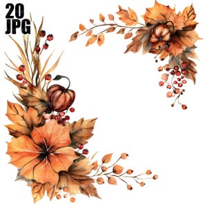 May include: Watercolor illustration of autumn foliage, including orange and brown leaves, pumpkins, and red berries. The design is arranged in a corner layout, perfect for fall-themed crafts and designs. The image has the text "20 JPG" in the upper left corner.
