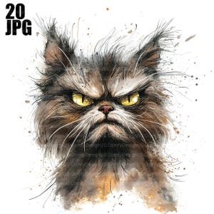 20 Frazzled Cat Clipart, Quirky Cat Clipart, Kitten Clipart, High Quality JPG, Watercolor Clipart, Junk Journal Digital Download Paper Craft