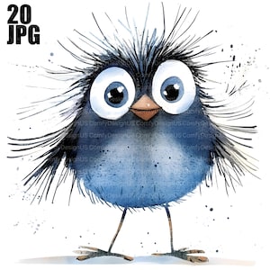 20 Whimsical Bird Clipart, Funny Bird, Quirky Bird, Cute Bird, Quality JPGs, Watercolor Clipart, Junk Journal, Digital Download, Paper Craft
