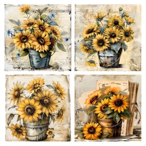 K&ouml;nnte beinhalten: Vier Vintage-Bilder von Sonnenblumen in Metalleimern. Jedes Bild zeigt einen anderen Hintergrund, darunter ein Notenblatt, handschriftliche Notizen und alte B&uuml;cher. Die Sonnenblumen sind gelb mit braunen Zentren und gr&uuml;nen Bl&auml;ttern.