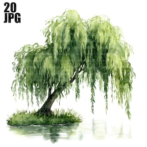 20 Pilträd Clipart, Pil Clipart, Akvarellträd, Högkvalitativa JPG-bilder, Akvarell Clipart, Skräpjournal, Digital Nedladdning, Papperspyssel