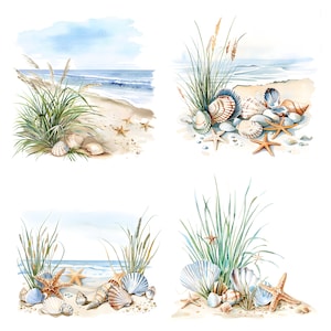 May include: Four watercolor illustrations of seashells and starfish on a sandy beach with green grass and blue ocean in the background.
