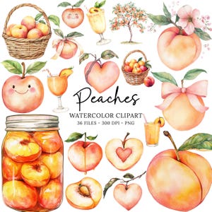 Clipart pêche aquarelle, fruits, PNG pêche douce, bébé pêche, aquarelle de pêches, clipart baby shower, clipart usage Commercial