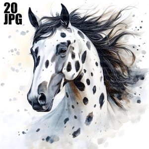 20 peinture cheval clipart, amateurs de chevaux, clipart équin, art équin, usage commercial, Junk Journal, téléchargement numérique Clipart Bundle Clip Art JPG