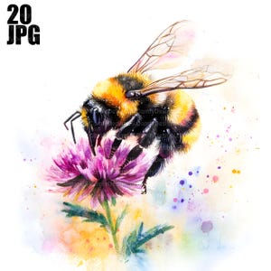 20 Bumblebee Clipart, Bee Clipart, Honey Bee Clipart, High Quality JPGs, Watercolor Clipart, Junk Journal, Digital Download, Paper Craft