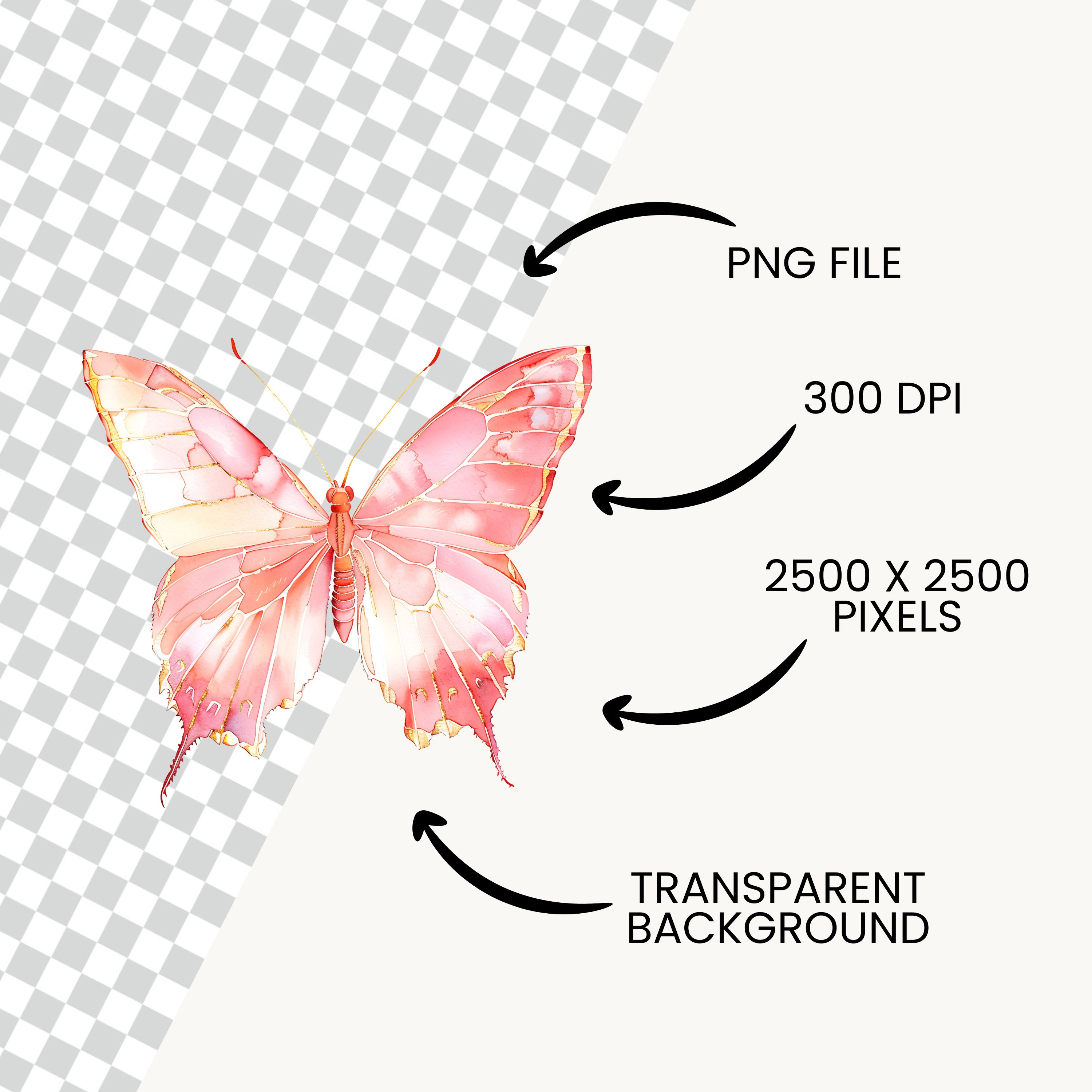 Pink Golden Butterfly Clipart, Watercolor Butterfly, Pink Butterfly ...