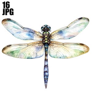 16 Dragonfly Clipart, Watercolor Dragonfly, Insect Clipart, High Quality JPG, Watercolor Clipart, Junk Journal, Digital Download Paper Craft