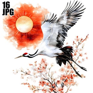 16 Japanese Crane Clipart, Watercolor Crane, Elegant Bird Clipart, Watercolor Clipart, Junk Journal, Digital Download, Paper Craft, JPGs