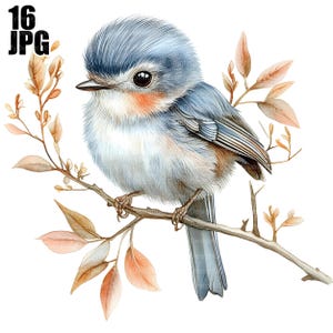 Bundle de cliparts mignon oiseau sur une branche, 16 fichiers JPG de haute qualité, clipart oiseau, création artistique, fabrication de cartes, clipart, créations en papier, scrapbooking