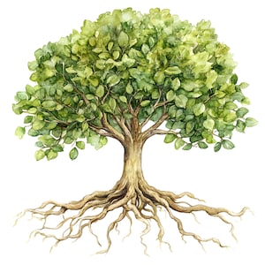 Aquarell Baum mit Wurzeln Clipart, 12 hochwertige JPGs, Baum des Lebens Kunst, Lebenselement, Familienstammbaum, kommerzielle Nutzung, Junk Journal Woodland