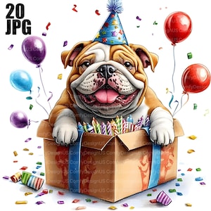 Clipart de cumpleaños de bulldog británico, 20 archivos JPG de alta calidad, cumpleaños de cachorro, clipart de bulldog británico, clipart de perro, creación de tarjetas, uso comercial