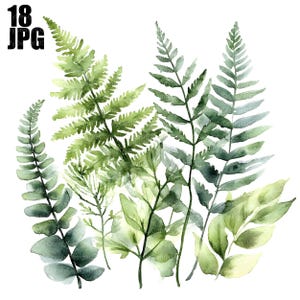 18 feuilles de fougère forêt Clipart, Clipart fougère, art du feuillage, JPG de haute qualité, clipart aquarelle, Junk Journal, téléchargement numérique, créations en papier