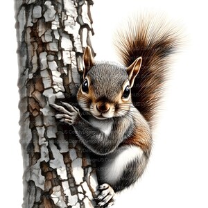 May include: A close-up of a squirrel with a bushy tail, perched on a tree trunk. The squirrel has a gray and brown coat with a white belly and is looking directly at the camera.