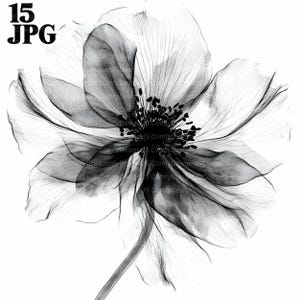 15 imágenes prediseñadas de flores negras abstractas, impresión de flores, flores negras, imágenes prediseñadas de acuarela imprimibles, archivos JPG de alta calidad, descarga digital, diario basura