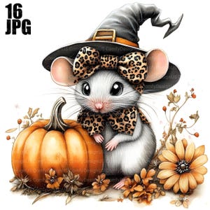 May include: A whimsical illustration of a white mouse wearing a witch hat and a leopard print bow and scarf. The mouse is next to an orange pumpkin and surrounded by fall foliage and flowers. The image has the text "16 JPG" in the upper left corner.