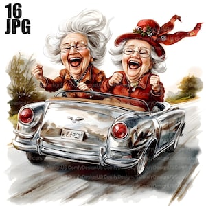 16 imágenes prediseñadas de ancianas divertidas, una anciana peculiar, una anciana peculiar, una anciana mayor, un diario basura, descarga digital, archivos JPG de acuarela