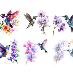 Peut inclure: Illustrations &agrave; l'aquarelle de colibris et de fleurs. L'image pr&eacute;sente six motifs diff&eacute;rents, chacun montrant un colibri interagissant avec diverses fleurs, dont des orchid&eacute;es. Les oiseaux affichent des couleurs vives comme le bleu, le violet et le vert.