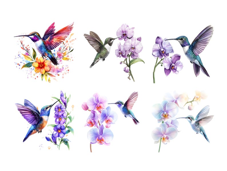 Peut inclure: Illustrations &agrave; l'aquarelle de colibris et de fleurs. L'image pr&eacute;sente six motifs diff&eacute;rents, chacun montrant un colibri interagissant avec diverses fleurs, dont des orchid&eacute;es. Les oiseaux affichent des couleurs vives comme le bleu, le violet et le vert.