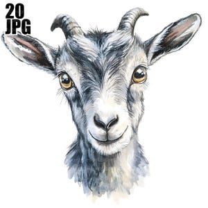 20 divertenti clipart di capre, capra acquerello, capra carina, JPG di alta qualità, clipart acquerello, diario spazzatura, download digitale, artigianato di carta, eccentrico