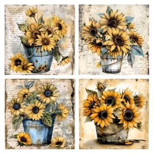 K&ouml;nnte beinhalten: Vier Vintage-Bilder von Sonnenblumen in rostigen blauen Eimern. Jedes Bild zeigt einen Strau&szlig; Sonnenblumen vor einem rustikalen Hintergrund.