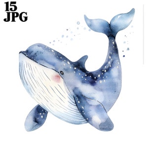 15 imágenes prediseñadas de ballenas de dibujos animados, vivero de ballenas, ilustración de ballenas, imágenes prediseñadas de acuarela imprimibles, JPG de alta calidad, descarga digital, artesanía de papel